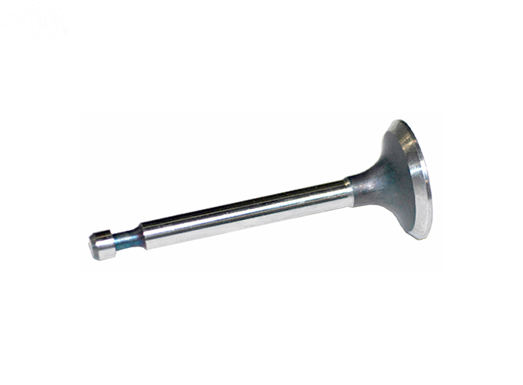 Intake Valve Briggs & Stratton  (Rotary 2811)